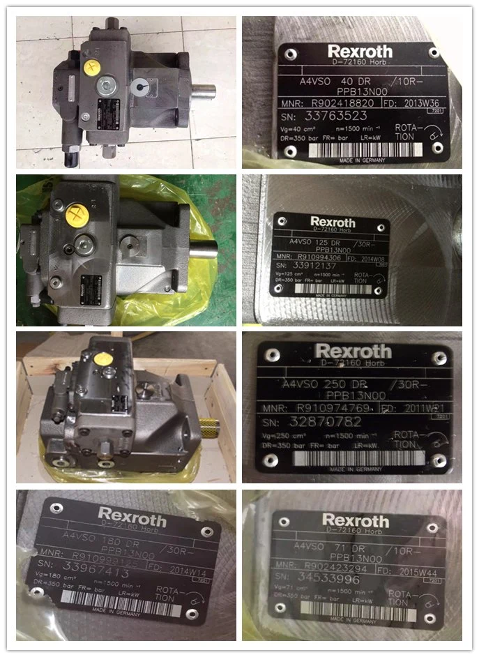 Rexroth Hydraulic Pump/Piston Pump/Pressure Pump/Oil Pump/Vane Pump/ Gear Pump/Excavator Pump for A2fo/A2FM/A4V/A6vm/A7vo/A10vso/A11V/PV7/Pg/A4fo